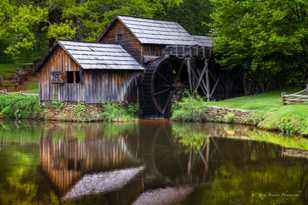 Old Mill Pond-8913-2.jpg Old Mill Pond-8913-2.jpg